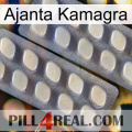 Ajanta Kamagra 07